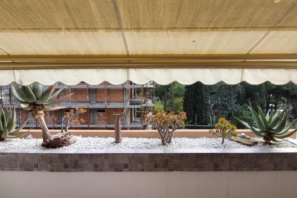 Ampio Monolocale Con Terrazzo - A 2 Passi Dal Mare Apartment Latte Exterior photo